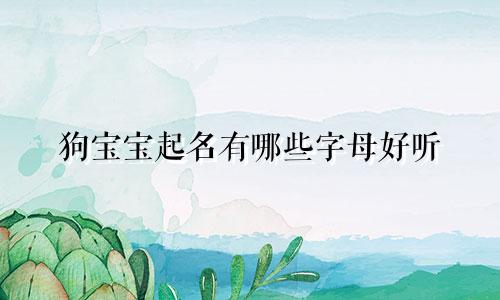 狗宝宝起名有哪些字母好听