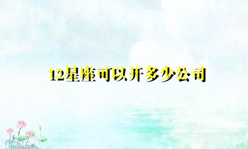 12星座可以开多少公司