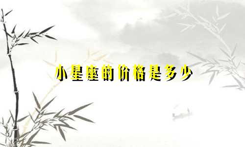 小星座的价格是多少