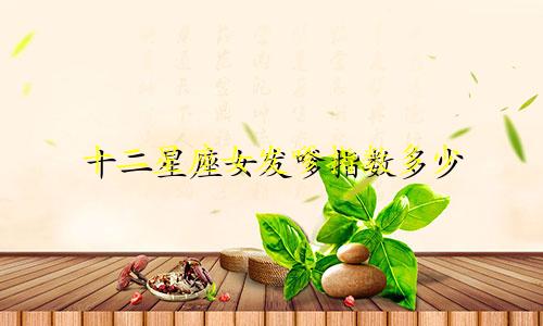 十二星座女发嗲指数多少