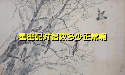 星座配对指数多少正常啊