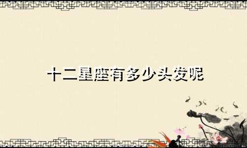 十二星座有多少头发呢