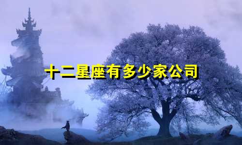 十二星座有多少家公司