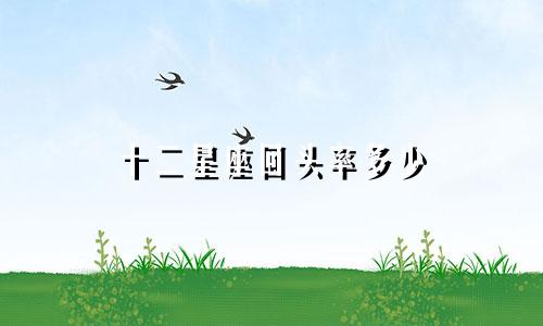 十二星座回头率多少