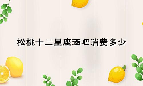 松桃十二星座酒吧消费多少