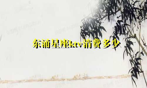 东涌星座ktv消费多少