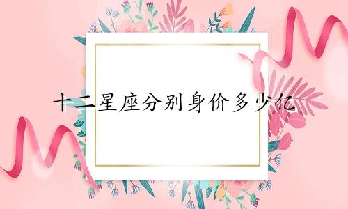 十二星座分别身价多少亿