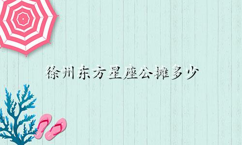 徐州东方星座公摊多少