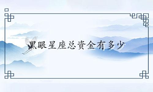 黑眼星座总资金有多少