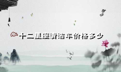 十二星座清洁车价格多少