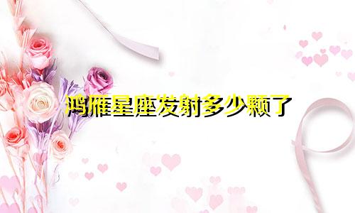 鸿雁星座发射多少颗了