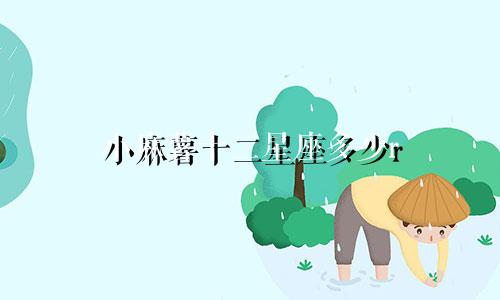 小麻薯十二星座多少r