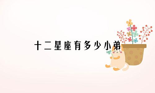 十二星座有多少小弟