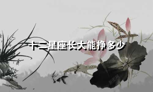 十二星座长大能挣多少