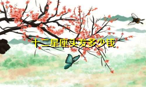 十二星座头发多少钱