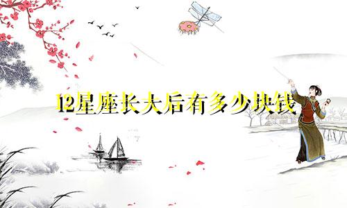 12星座长大后有多少块钱