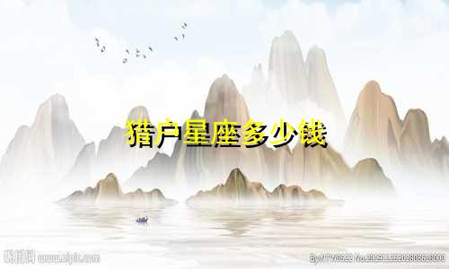 猎户星座多少钱