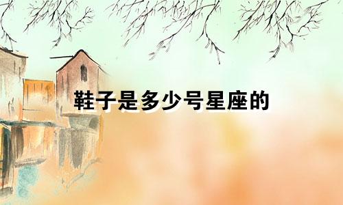 鞋子是多少号星座的