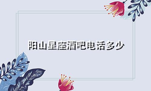 阳山星座酒吧电话多少