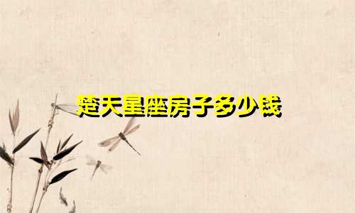 楚天星座房子多少钱